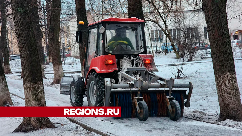 Фото: Роман Савельев