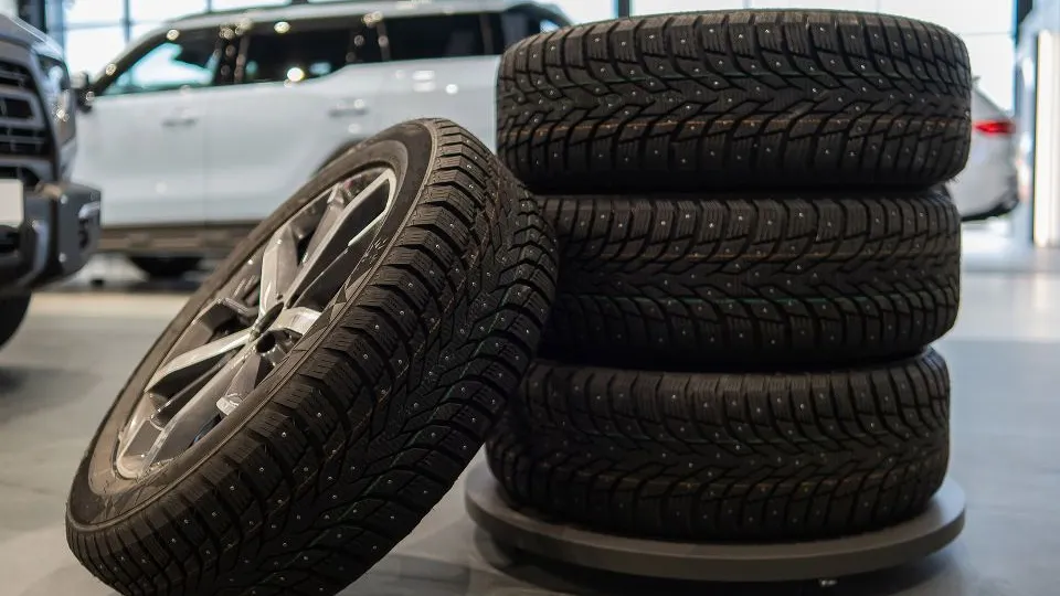 Фото: istockphoto.com/Anna Reshetnikova