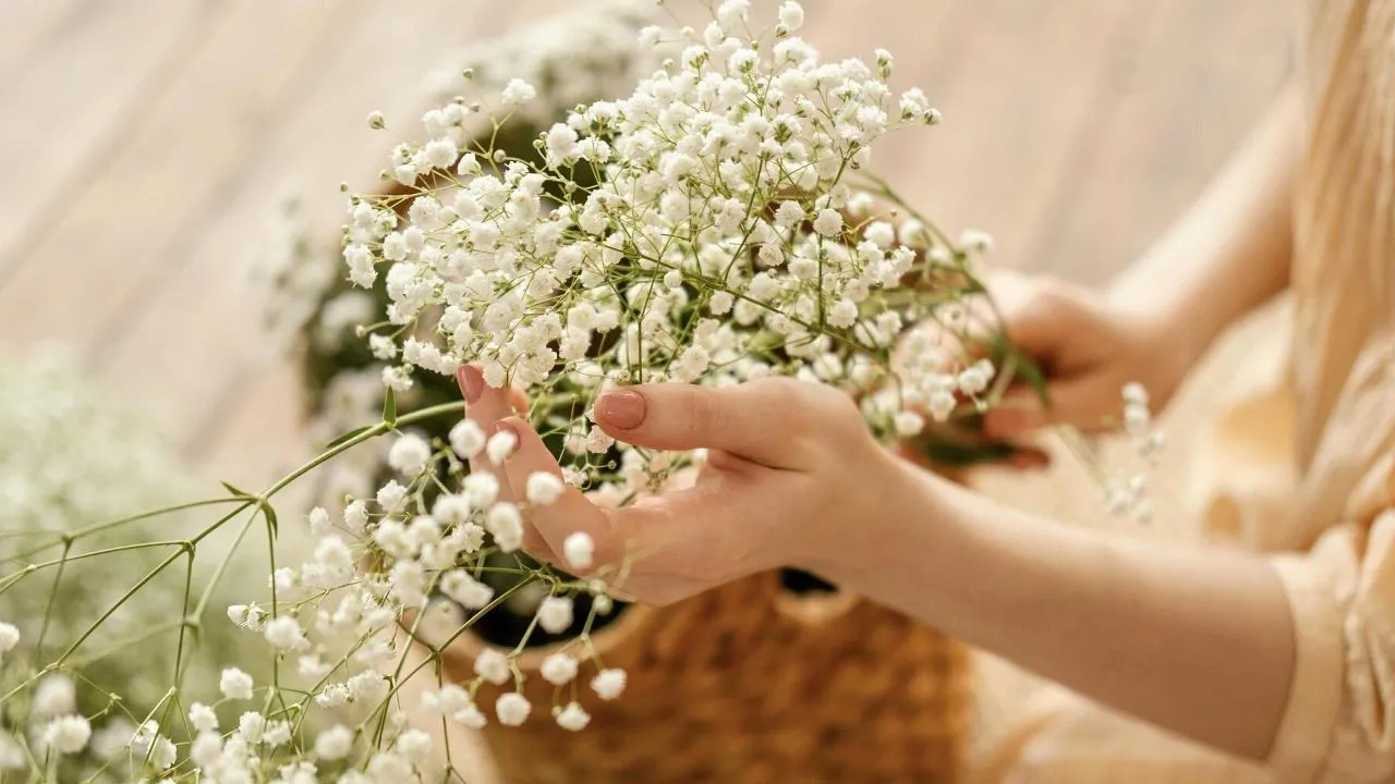 freepik.com