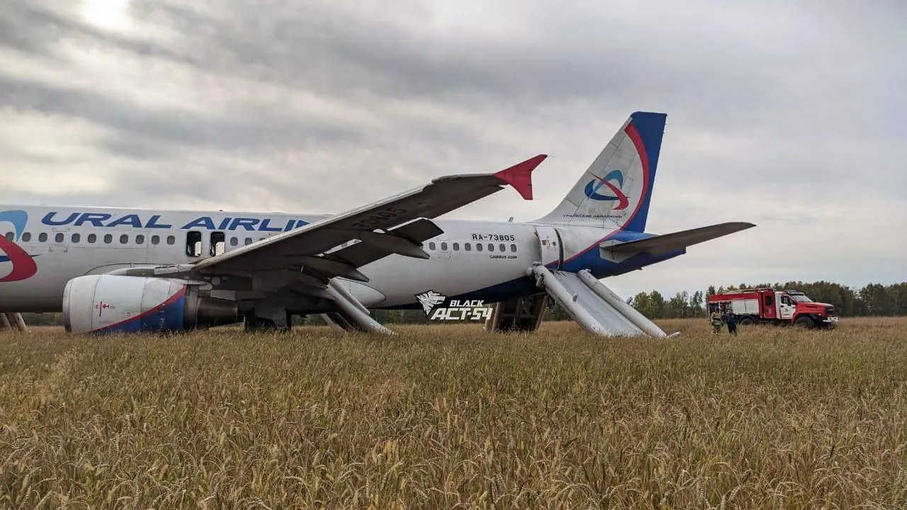 Фото:  vk.com/act54