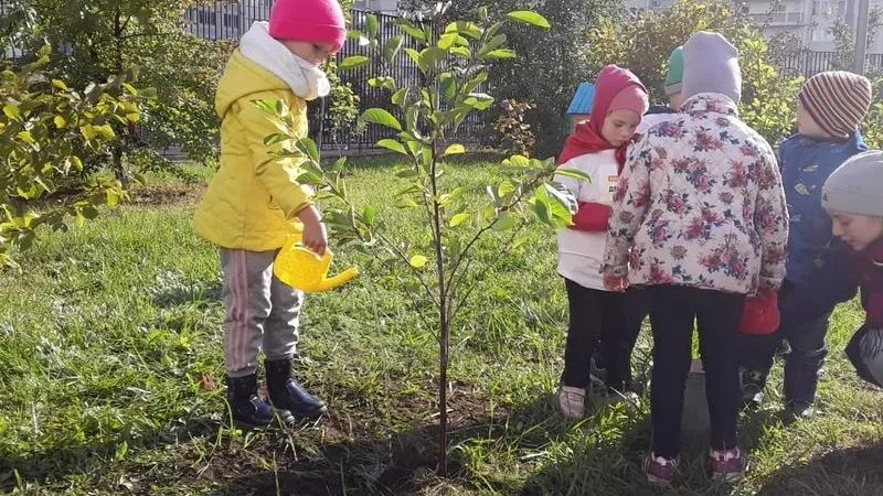 Яблони, рябины и сосны начали высаживать в Люберцах