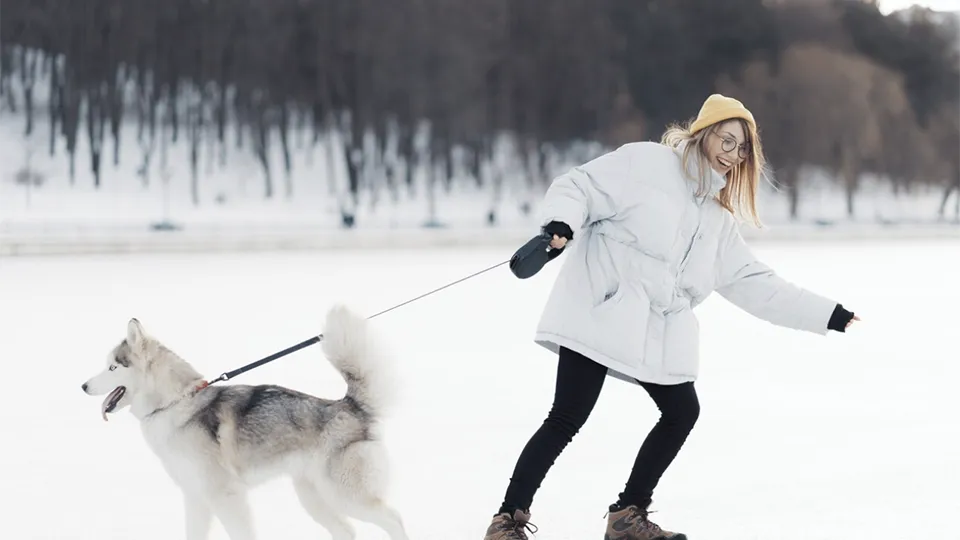 Фото: freepik.com