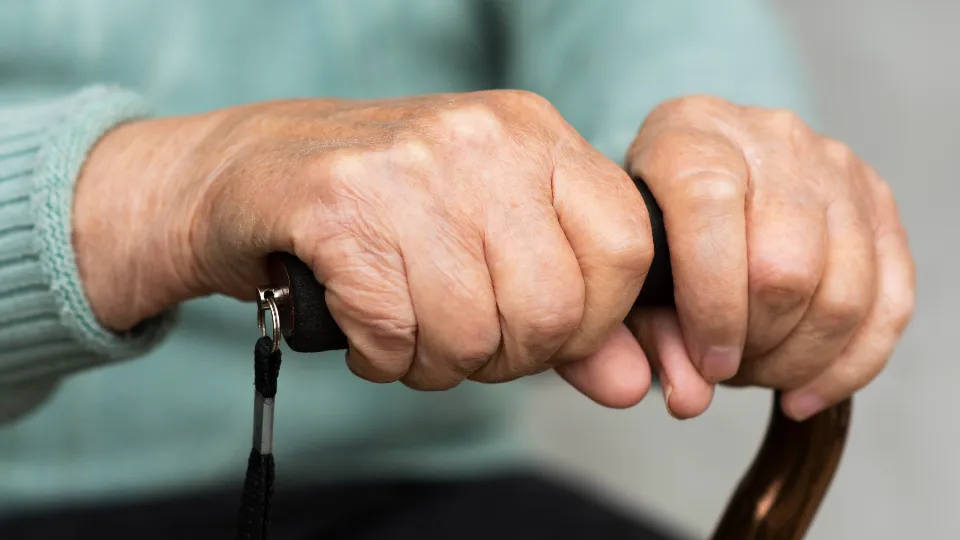 Фото: freepik.com