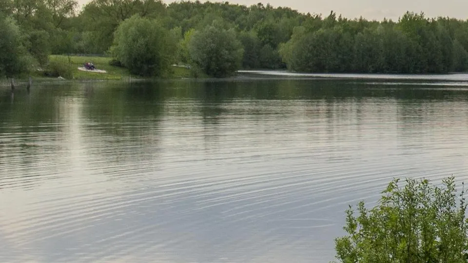 Фото: администрация г. о. Электросталь