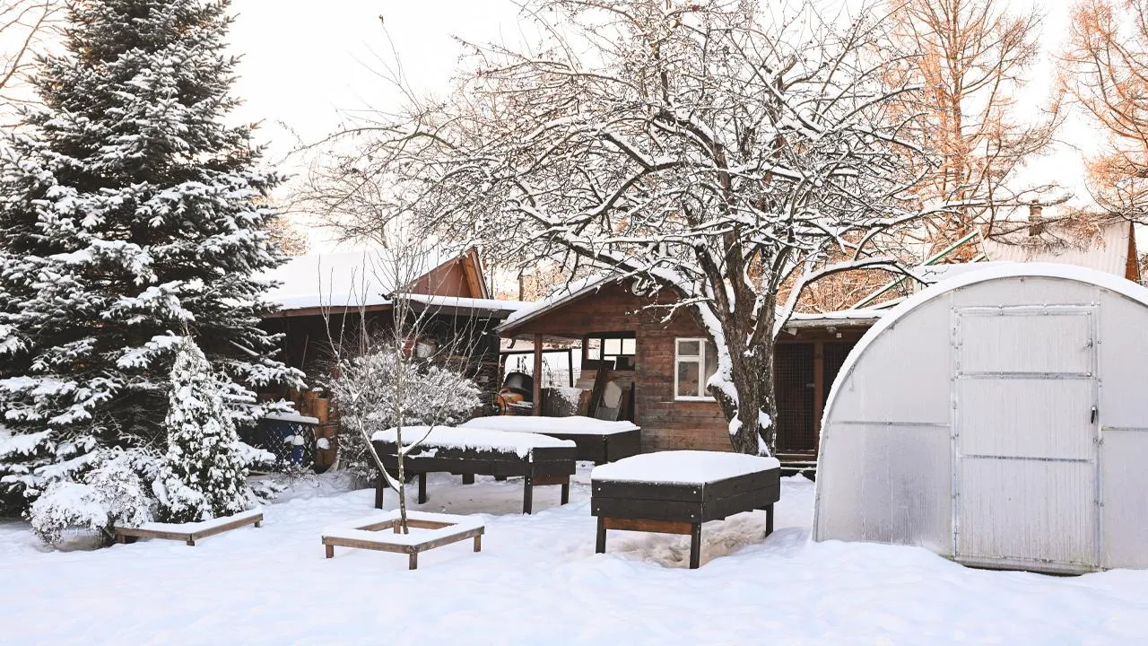 istockphoto.com/elenaleonova