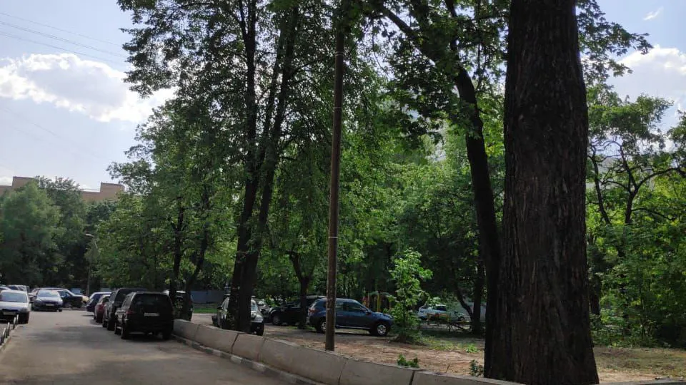 Фото: пресс-служба администрации Одинцовского г.о.