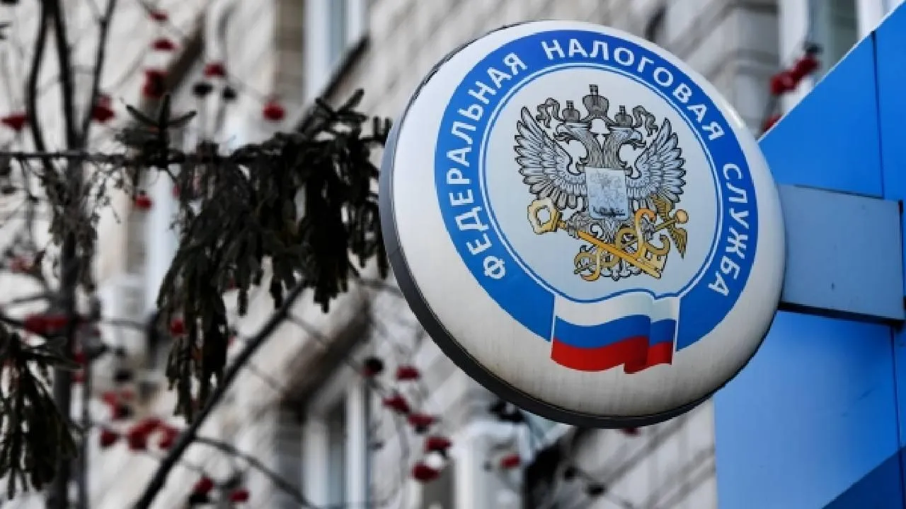 Обман сотрудников налоговой службы не сошел с рук экс-директору компании в Ставрополье