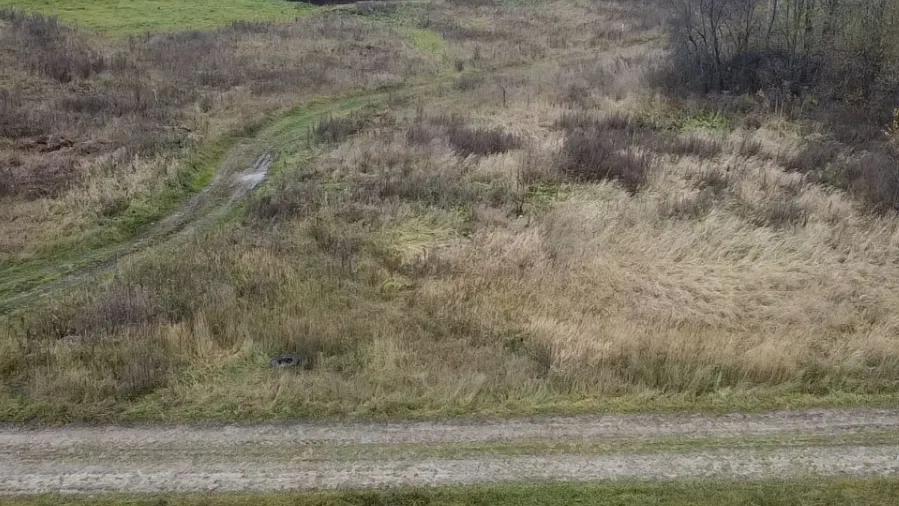 Участок в аренду в с. Ярополец. Фото: Комитет по конкурентной политике МО