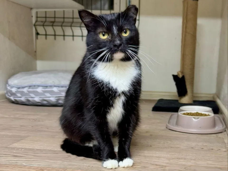 Фото: личный архив Яны Блоцкой