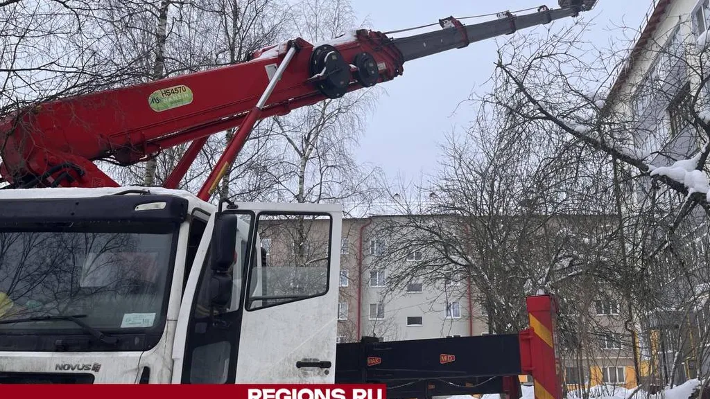 Фото: Татьяна Рунова