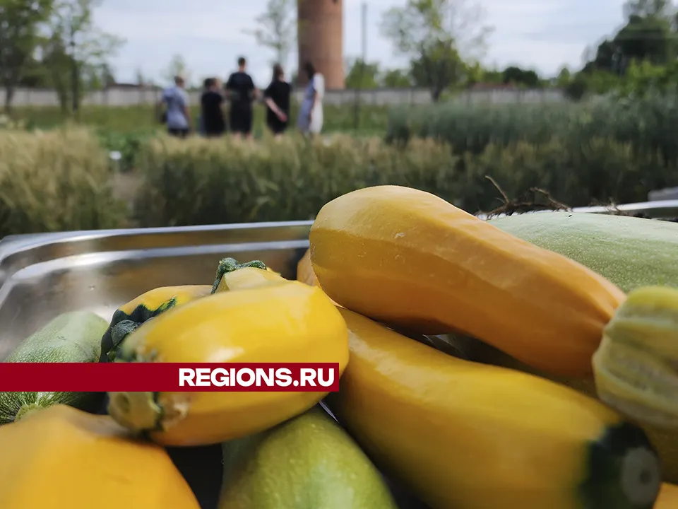 Фото: Андрей Семибратов