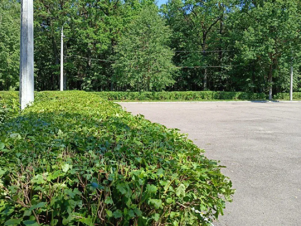 Фото: пресс-служба Администрации г.о. Коломна