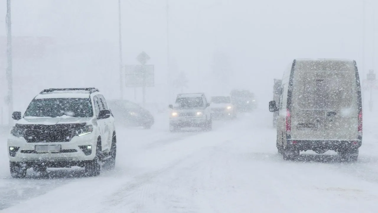 РИА Новости/Сергей Красноухов