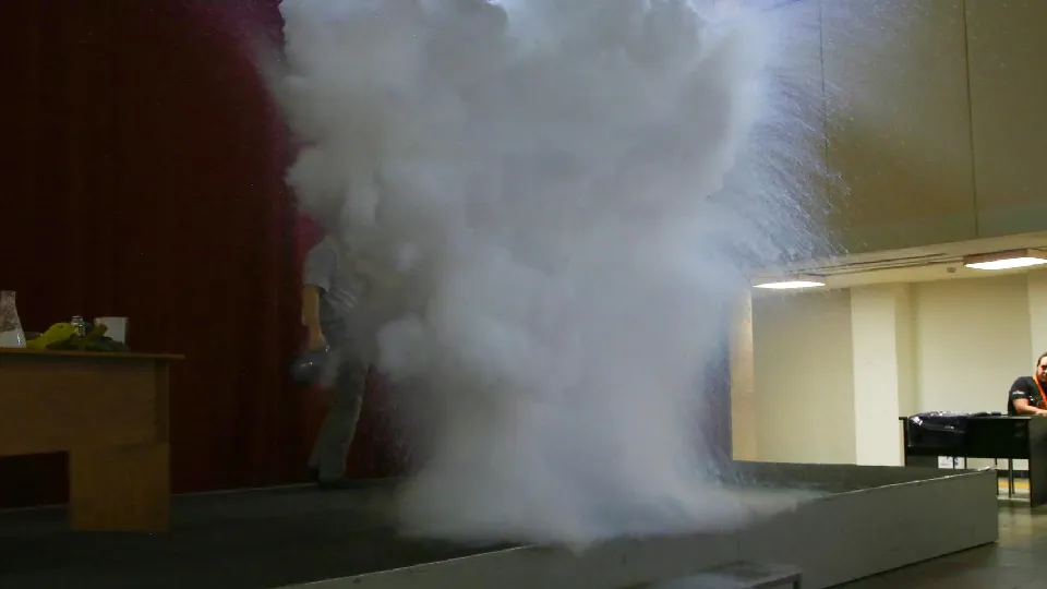 Фото: Полина Пахомова