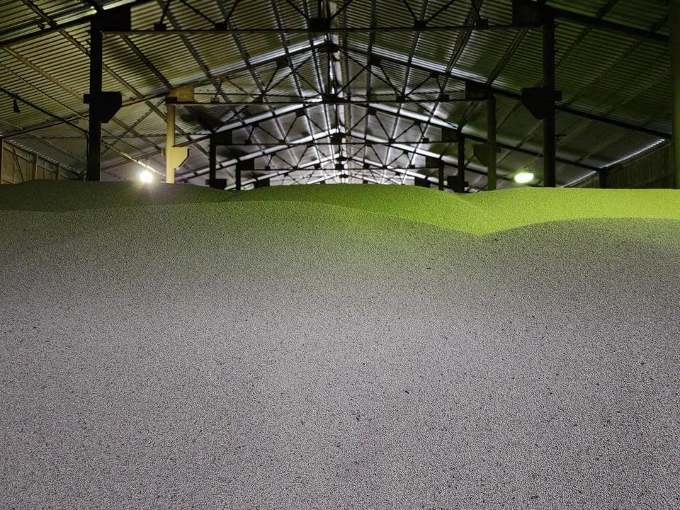 Фото: Медиабанк Подмосковья/Юлия Скавронова