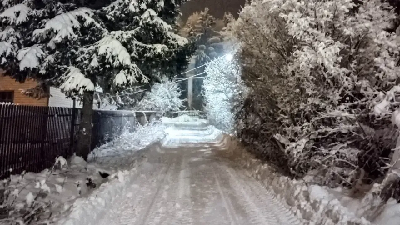 REGIONS/Роман Малышенко