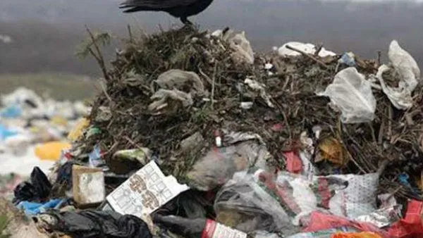 С начала года в Солнечногорском районе ликвидировали 24 свалки