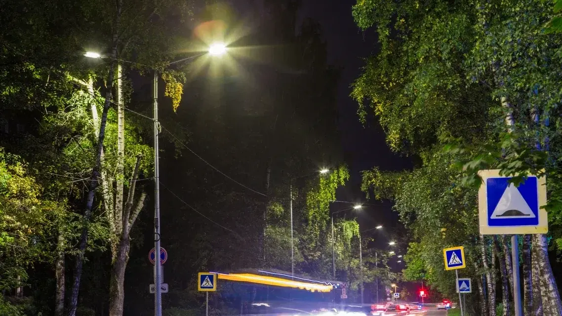 Фото: Министерство благоустройства Московской области