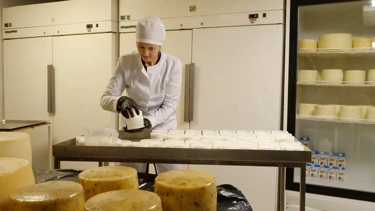 Московская область стала лидером по производству сыра в России