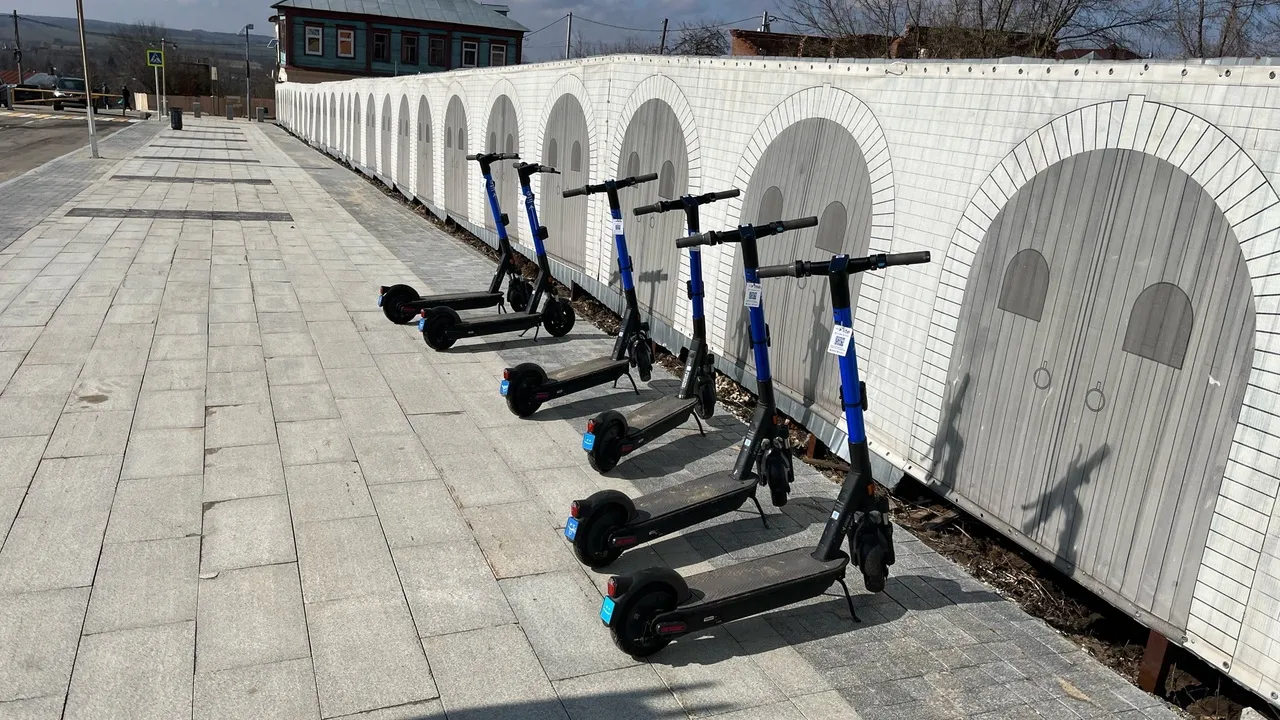 Фото: Максим Потемкин.