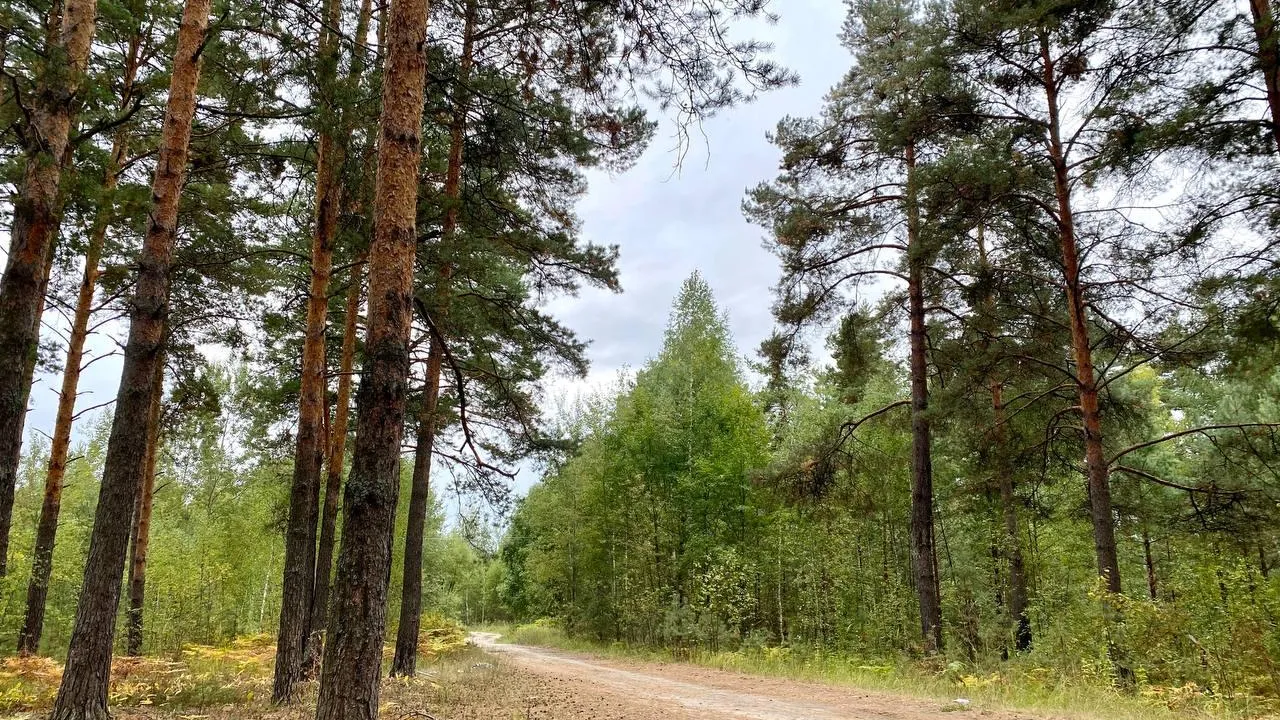 Фото: Инна Панёвина