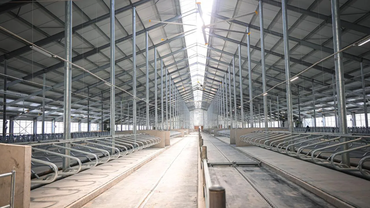 МедиаБанк Подмосковья/Данила Кирьянов