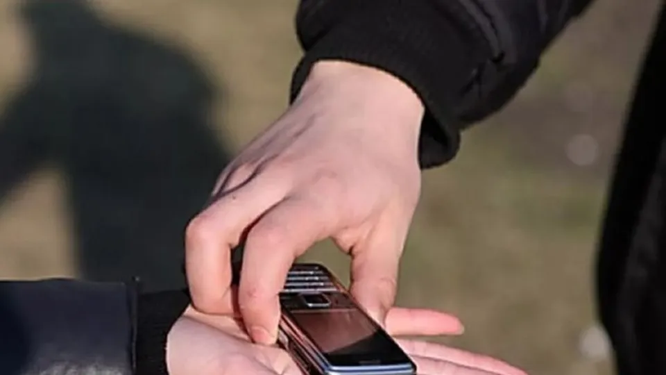 Фото: ГУ МВД России по Московской области