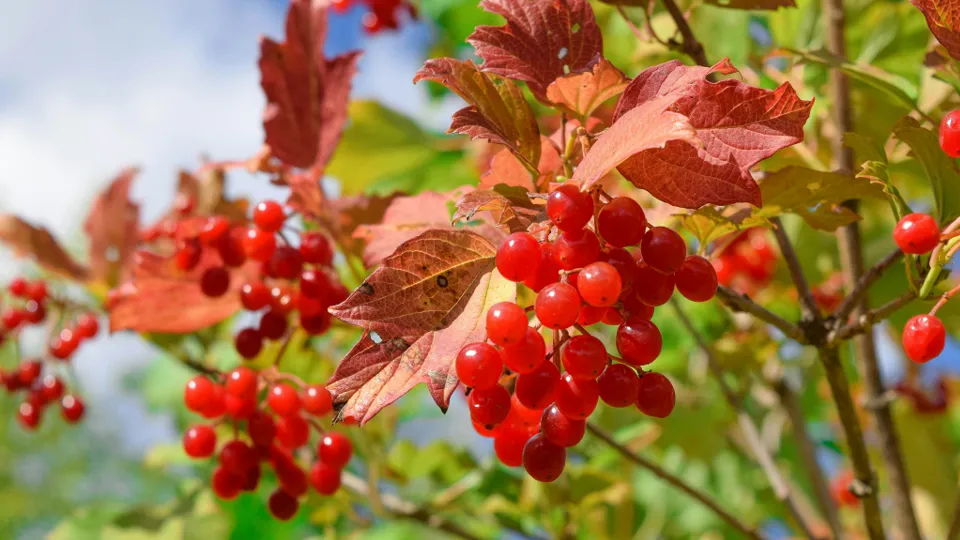 Фото: unsplash.com