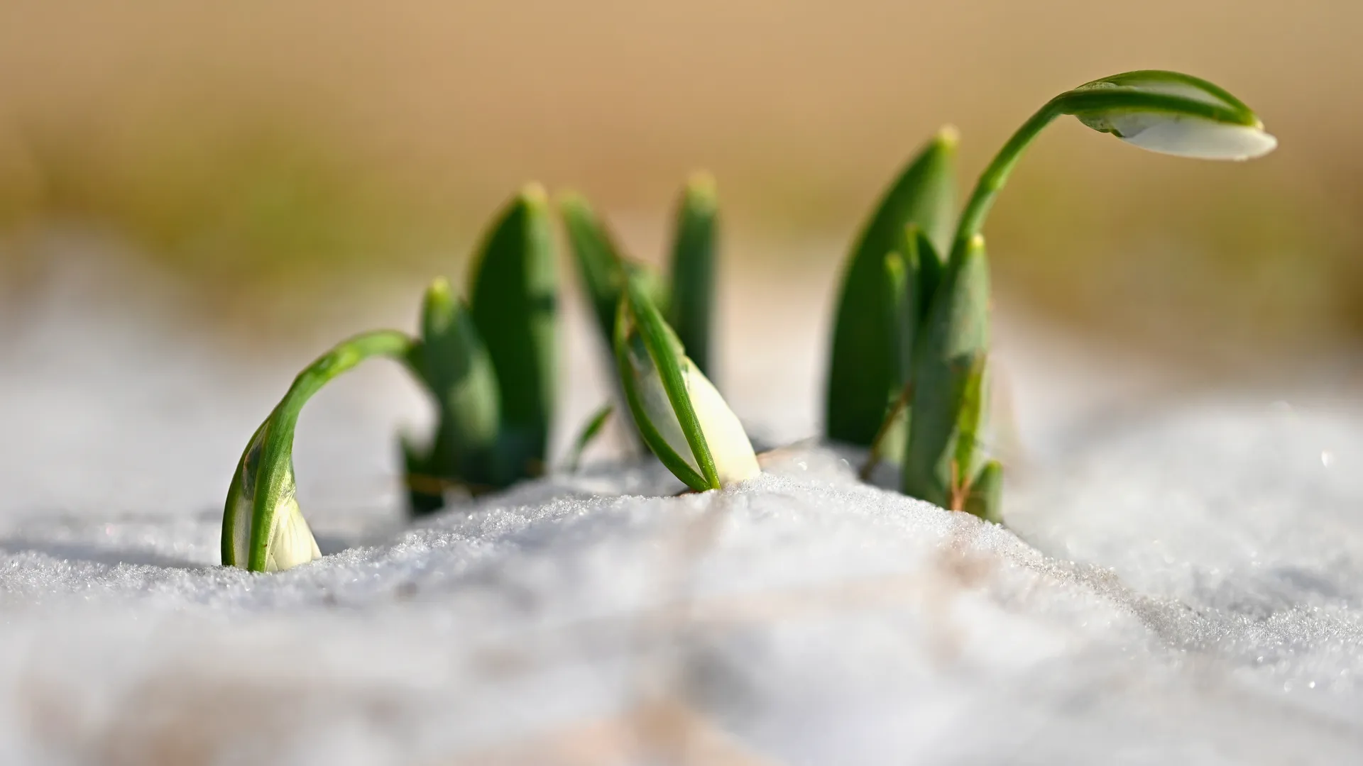 Фото: ru.freepik.com