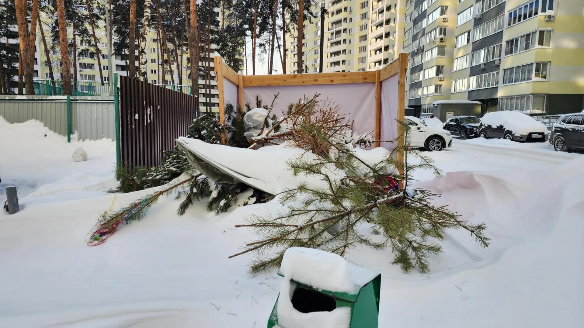 МедиаБанк Подмосковья/Ирина Моисеева