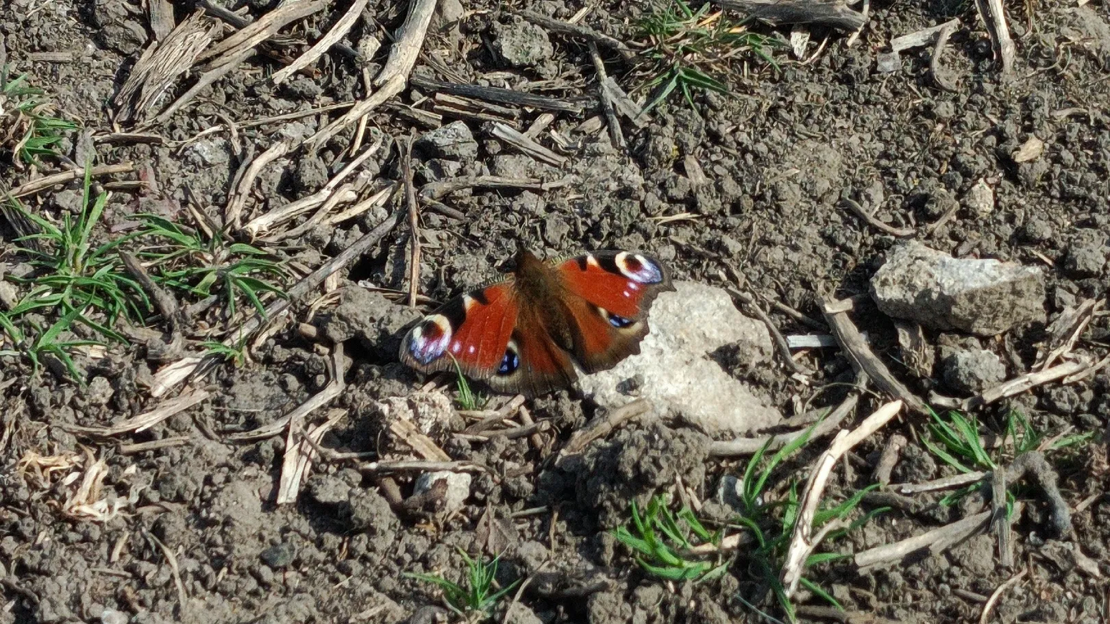 Фото: соцсети