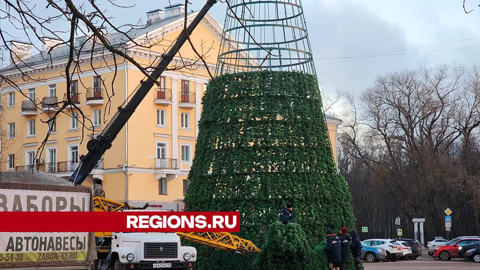 Фото: Светлана Плотникова