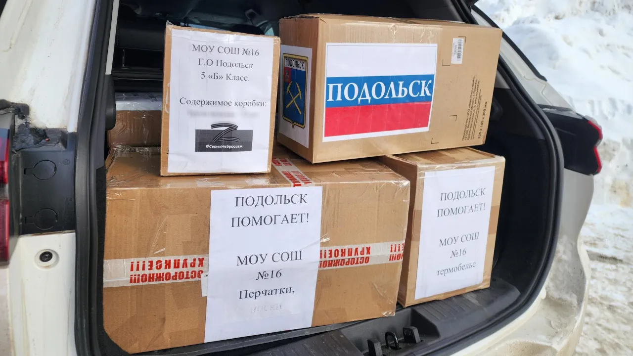 REGIONS/Мария Шигорева