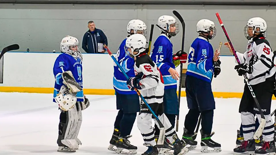 Фото: Зарайский ледовый спортивный комплекс