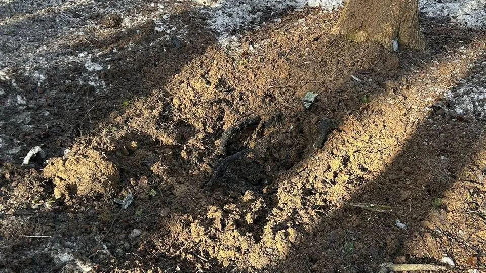 Фото: t.me/sobakin_mn