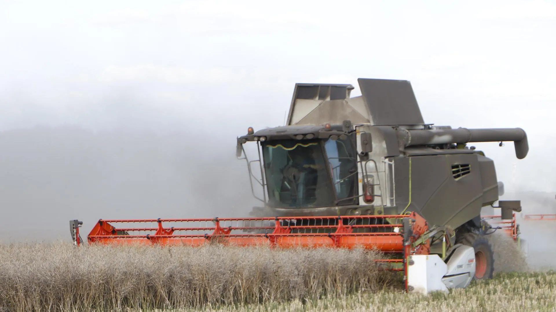 Фото: МедиаБанк Подмосковья/Татьяна Кострикина