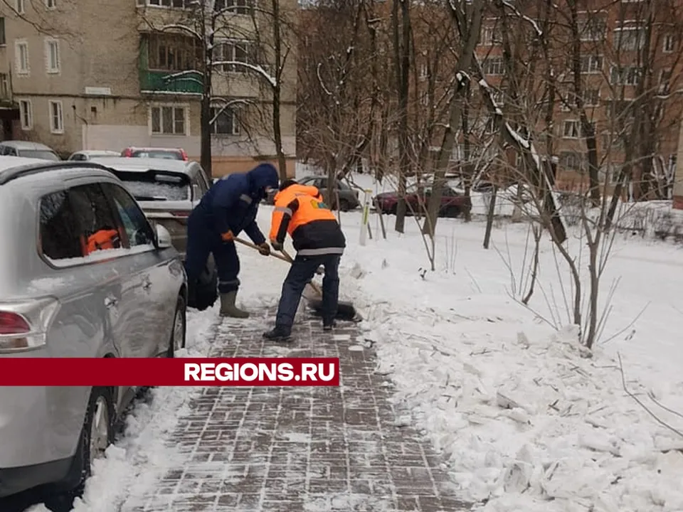 Фото: пресс-служба администрации г.о. Дзержинский