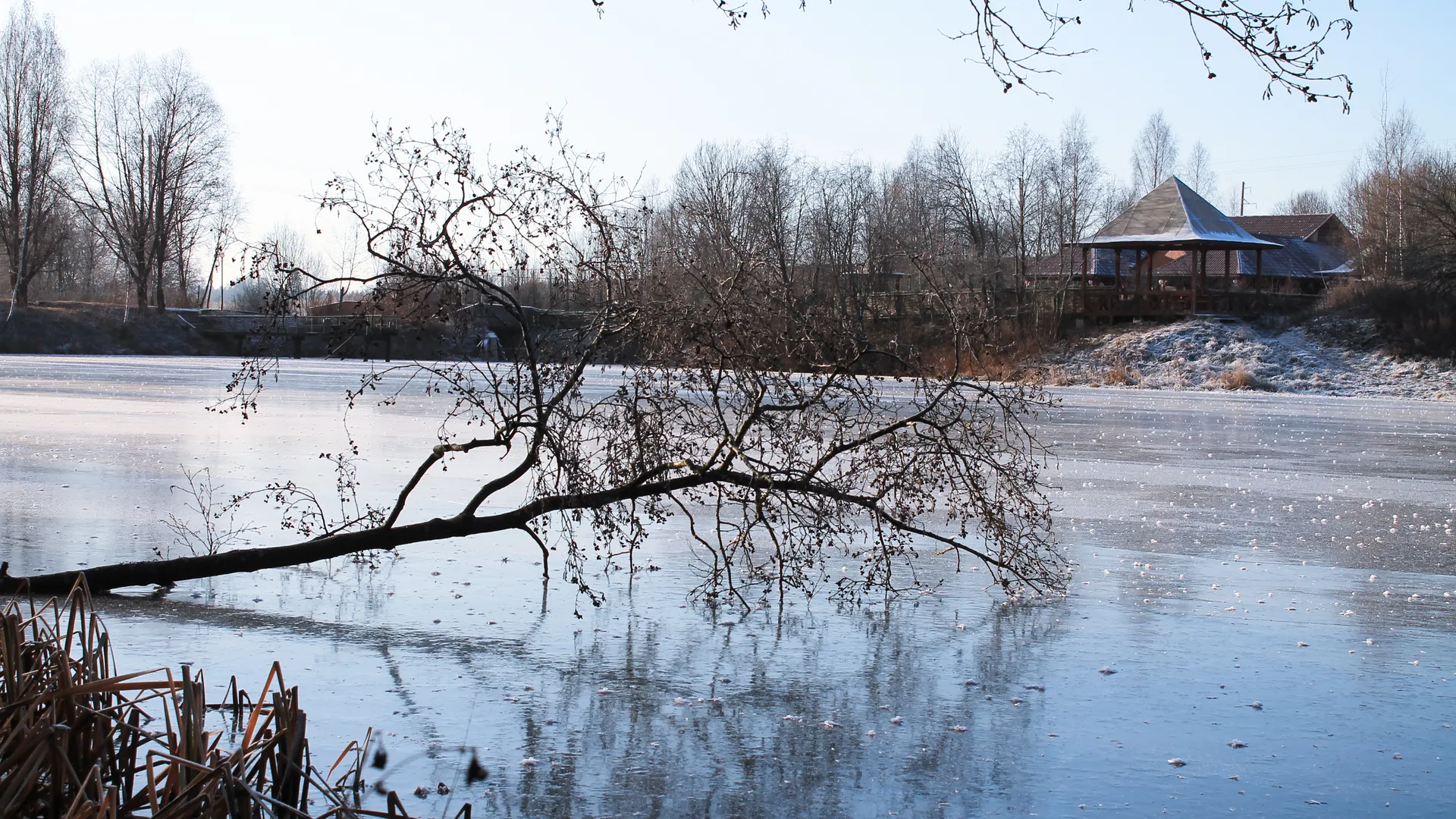 Заморозки в Солнечногорском районе