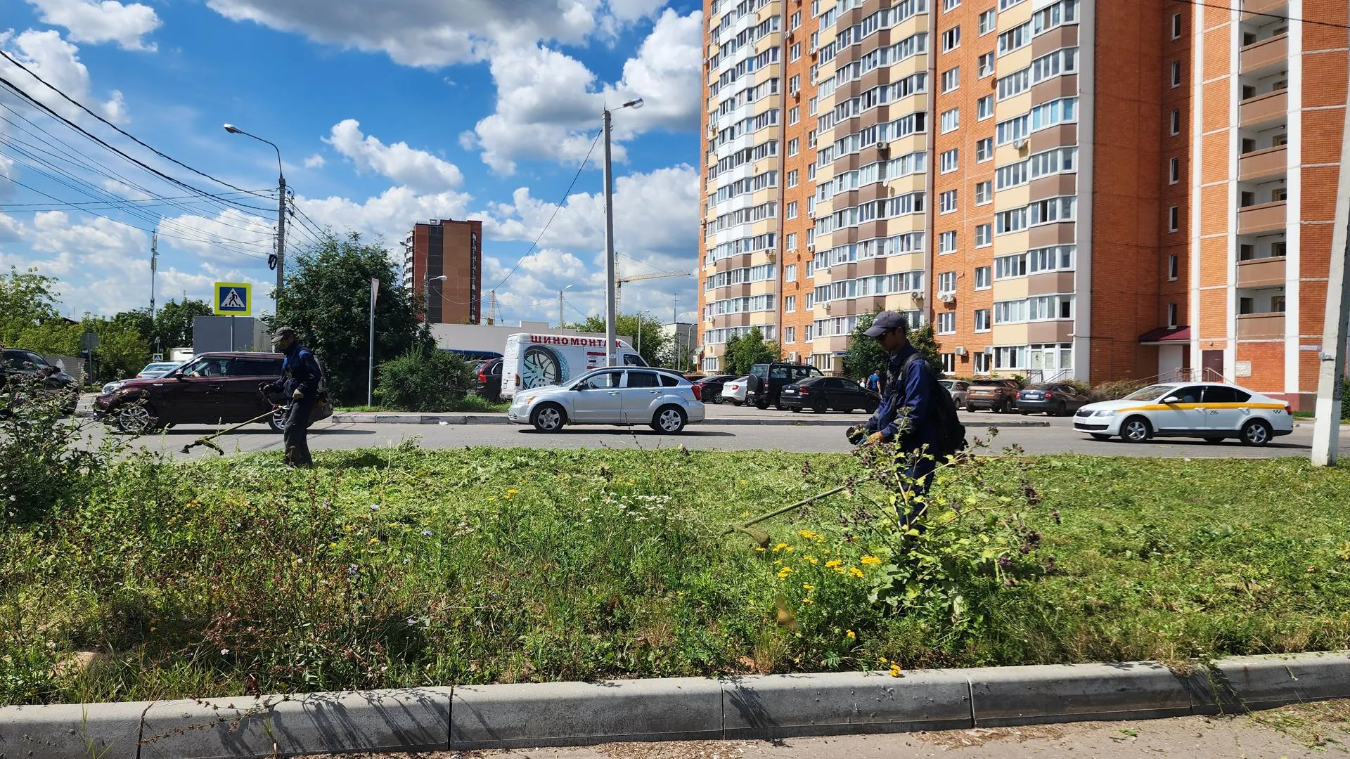 Фото: Анастасия Сараева