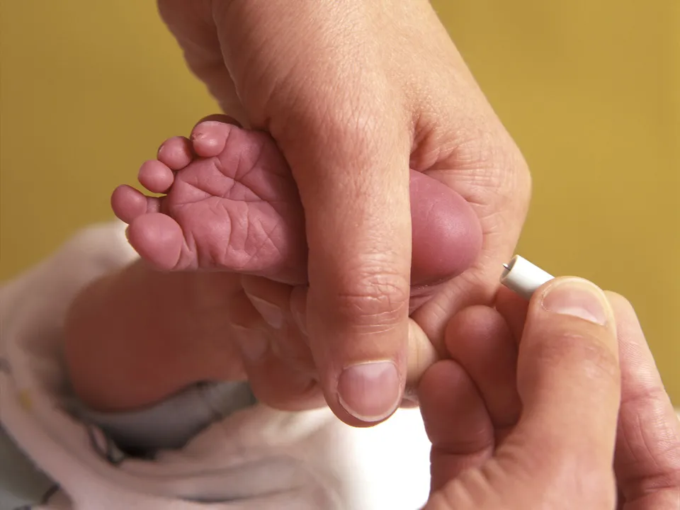 Фото: istockphoto.com/PicturePartners&nbsp;