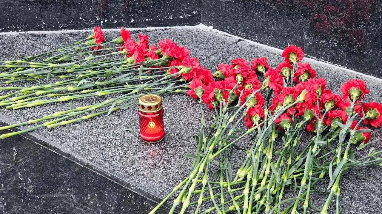 REGIONS/Александр Дрожжин