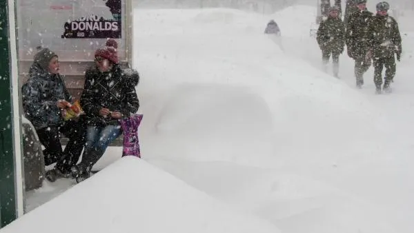 Минтранс запретит высадку безбилетных детей из общественного транспорта