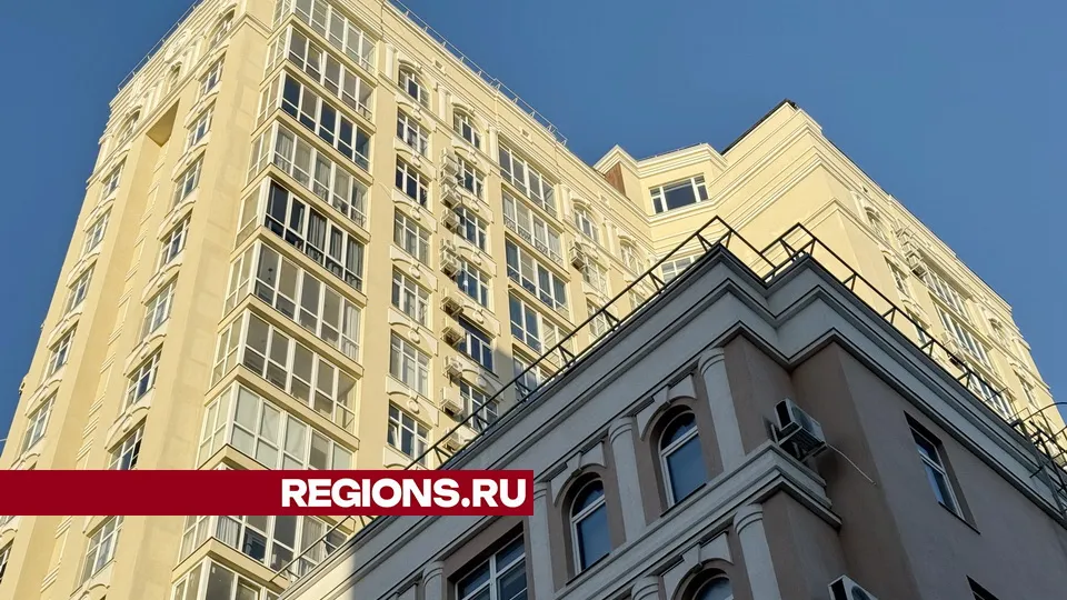 Фото: Александр Легкий