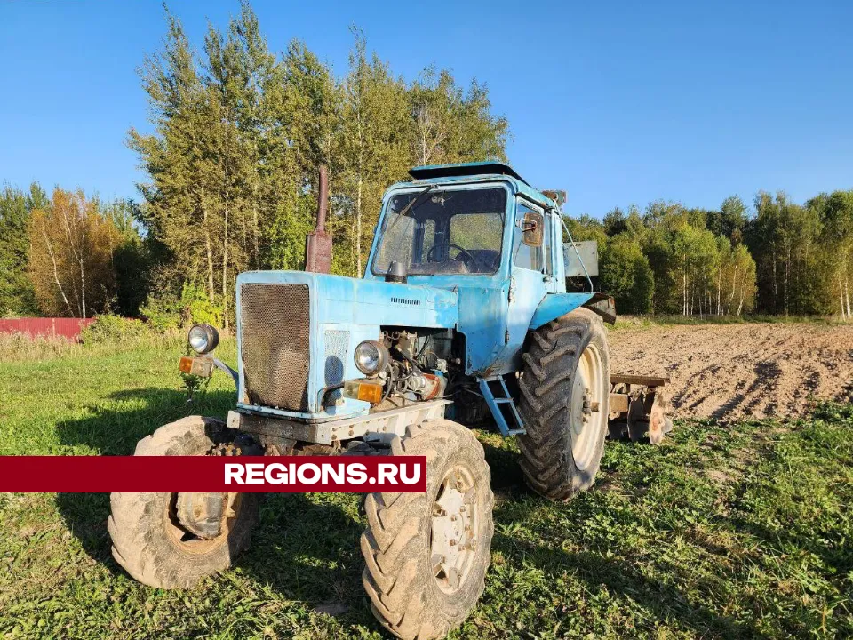 REGIONS/Яна Шаливская