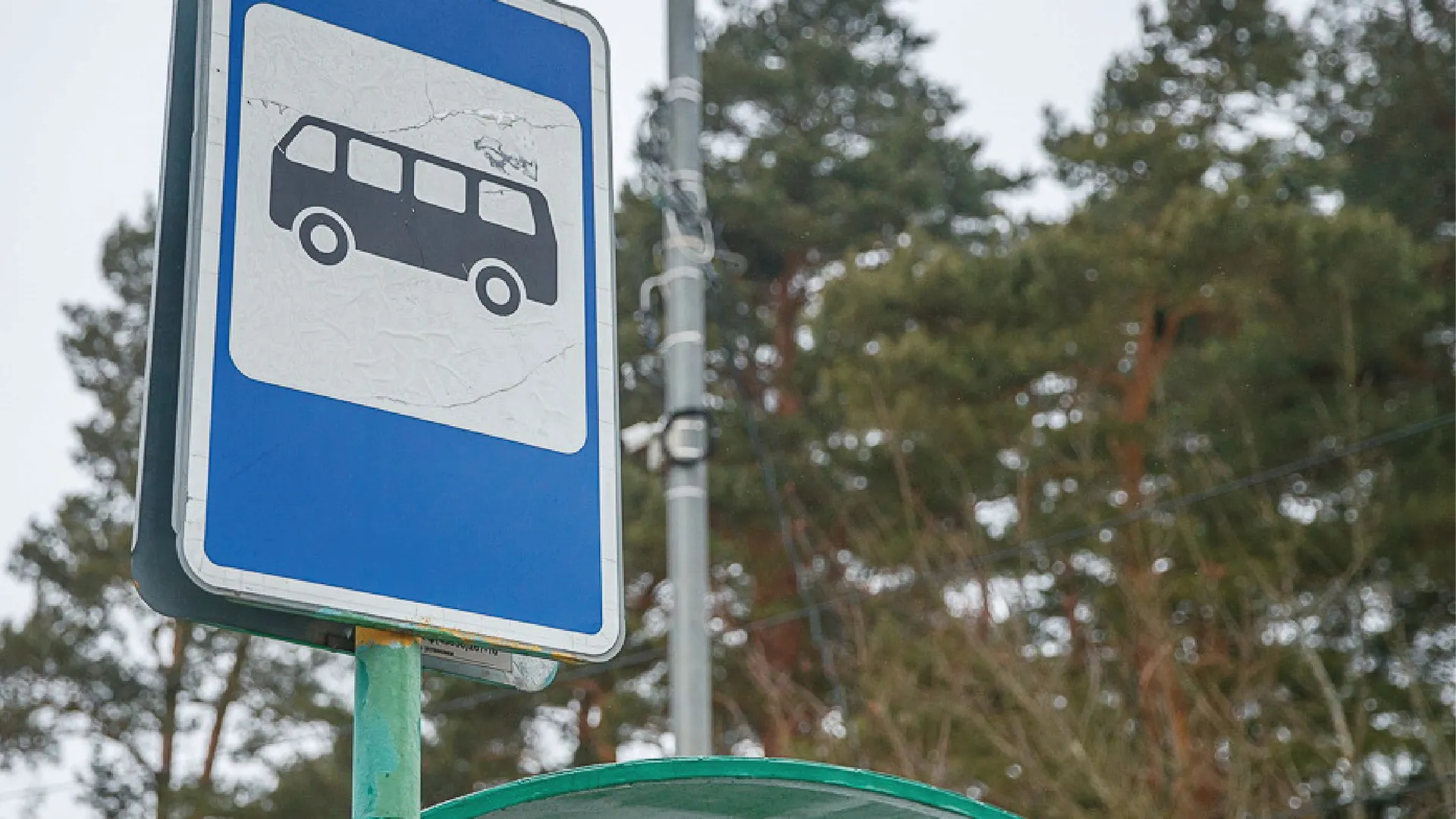 Фото: Валерий Жуков