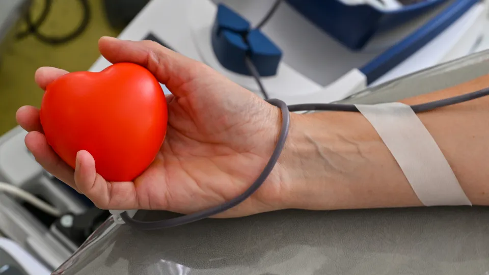 Фото: TASS/DPA/Patrick Pleul