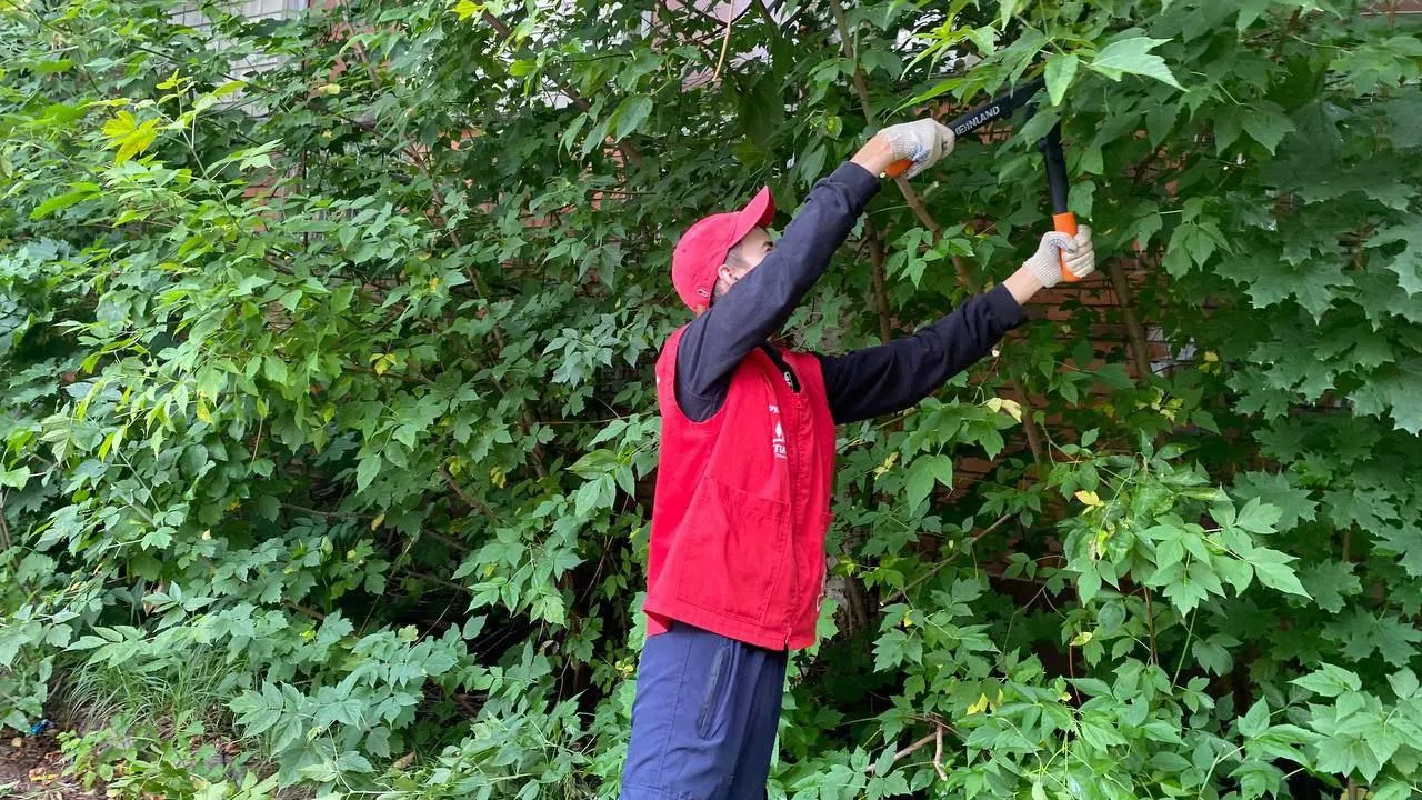 Фото: пресс-служба администрации г.о. Электросталь