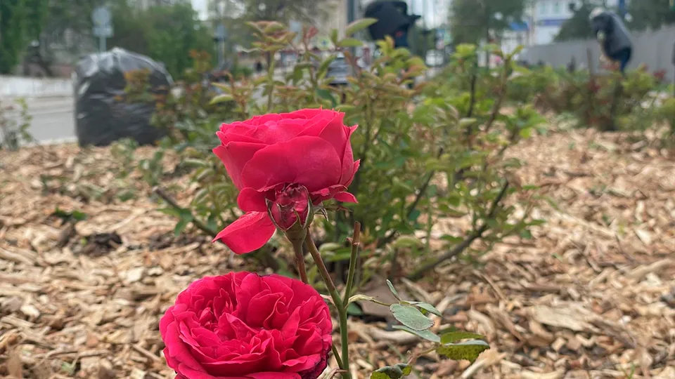 Фото: Станислав Орлов