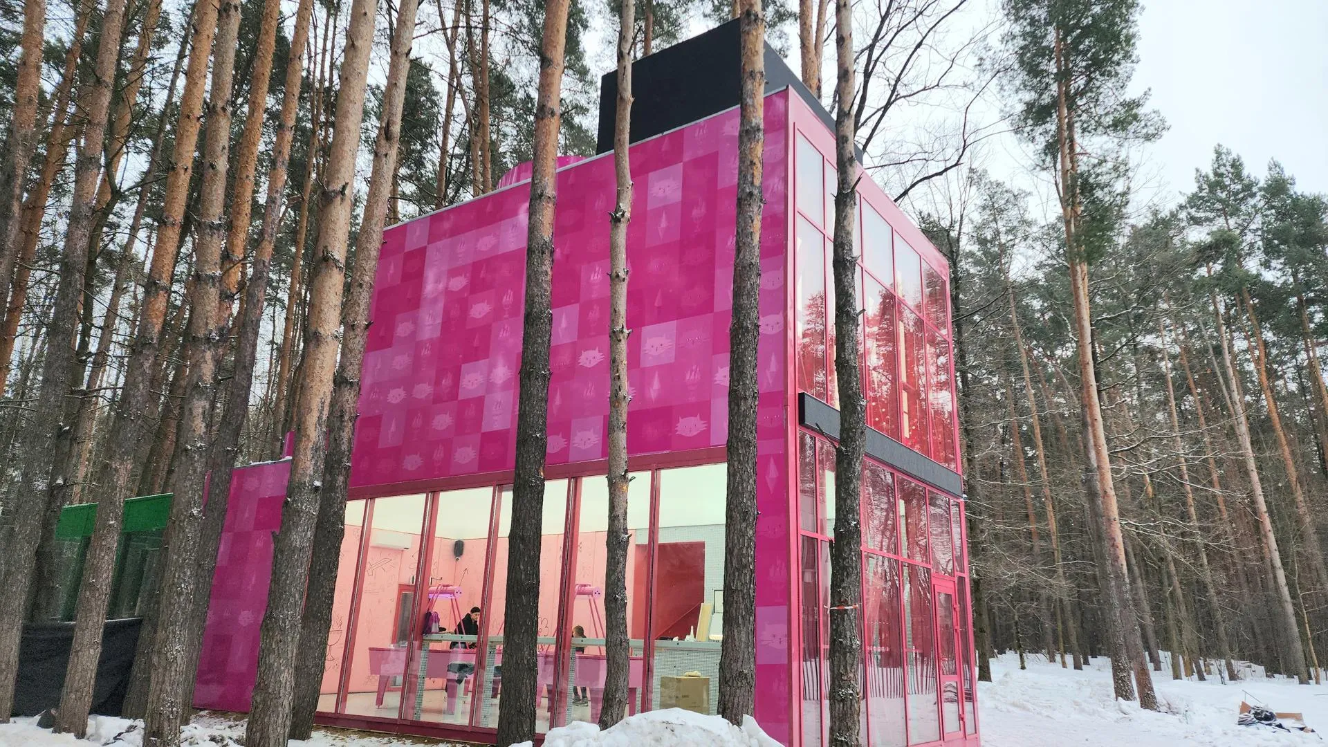 Анастасия Сараева