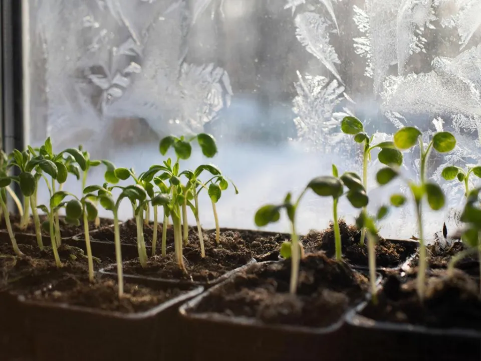 Фото: REGIONS/Сгенерировано нейросетью